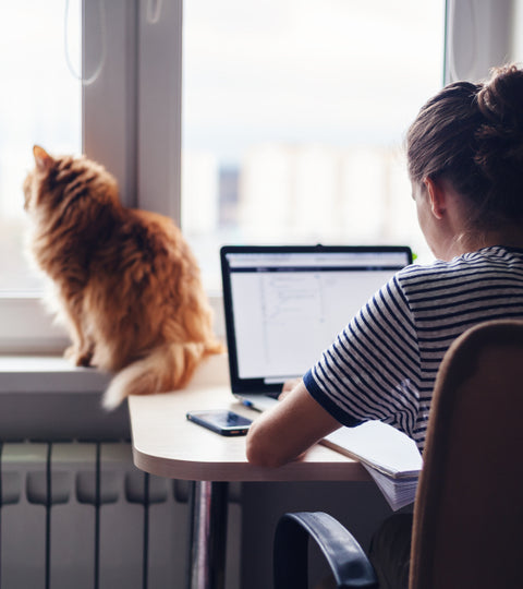 2020 Vision — Is Lockdown Permanently Impacting Our Sight?